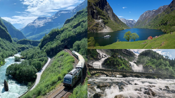 Norge - Vilt och vackert